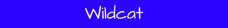 Short Stories Wildcat 